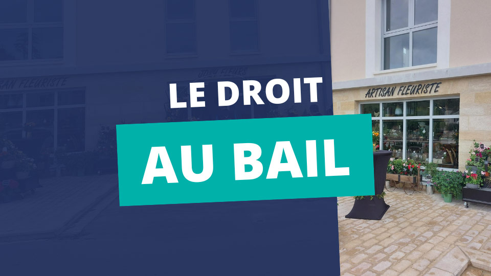 Droit au bail professionnel